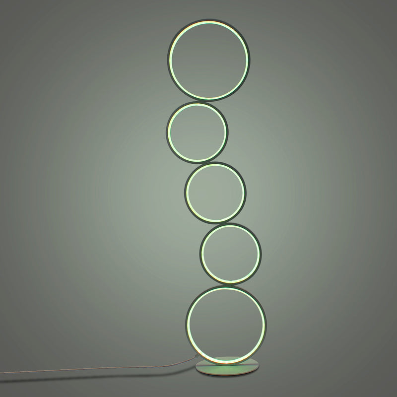 RGB Circular Floor Lamp-6